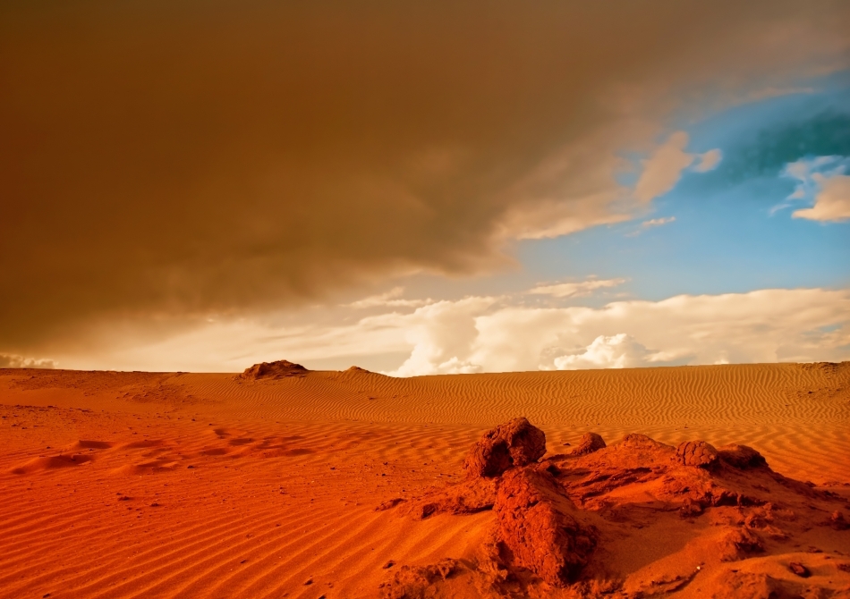 Pentru Prima DatÄƒ In Ultimii 37 De Ani In Sahara A Nins ToatÄƒ Lumea A Fost SocatÄƒ Este Un Eveniment Asa Rar Foto