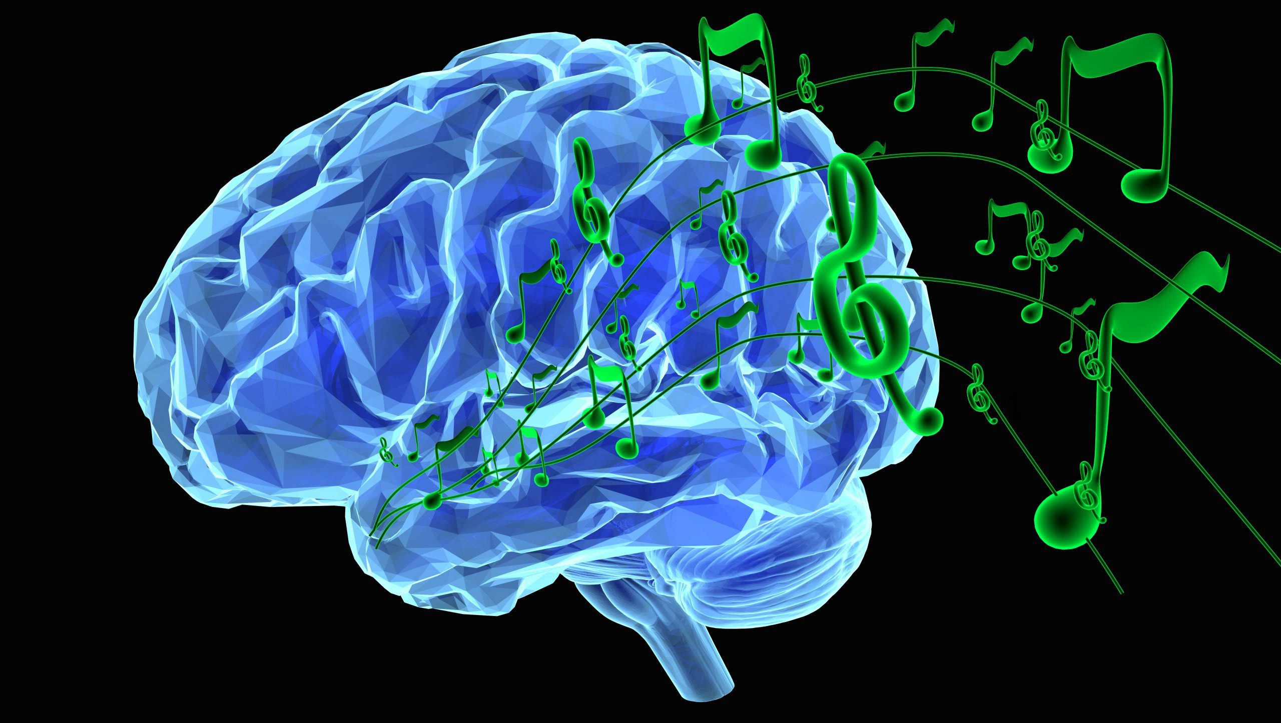 Музыка и мозг человека. Изображение мозга. Головной мозг.