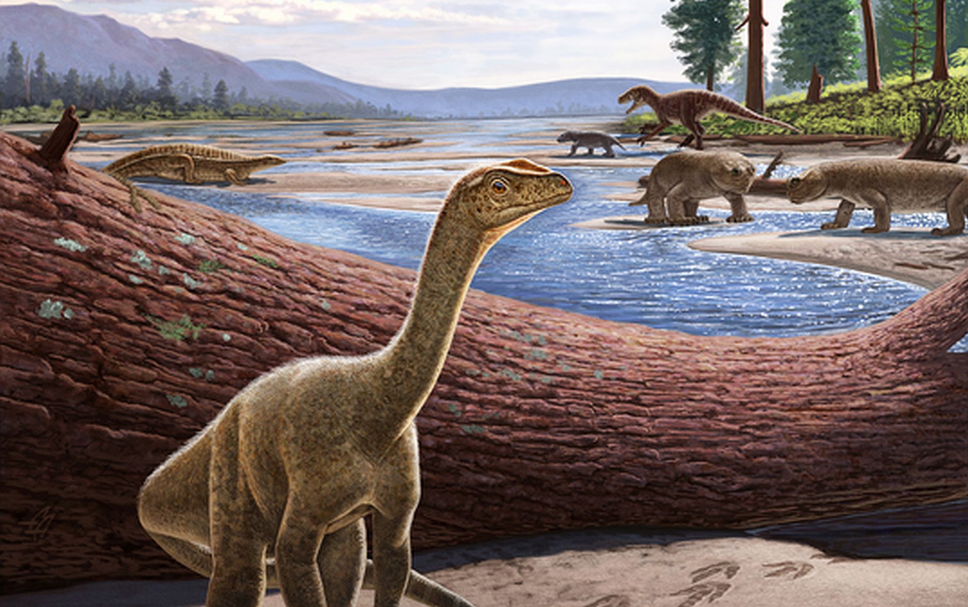 Ce Nume A Primit Cel Mai Vechi Dinozaur Descoperit în Africa 8832