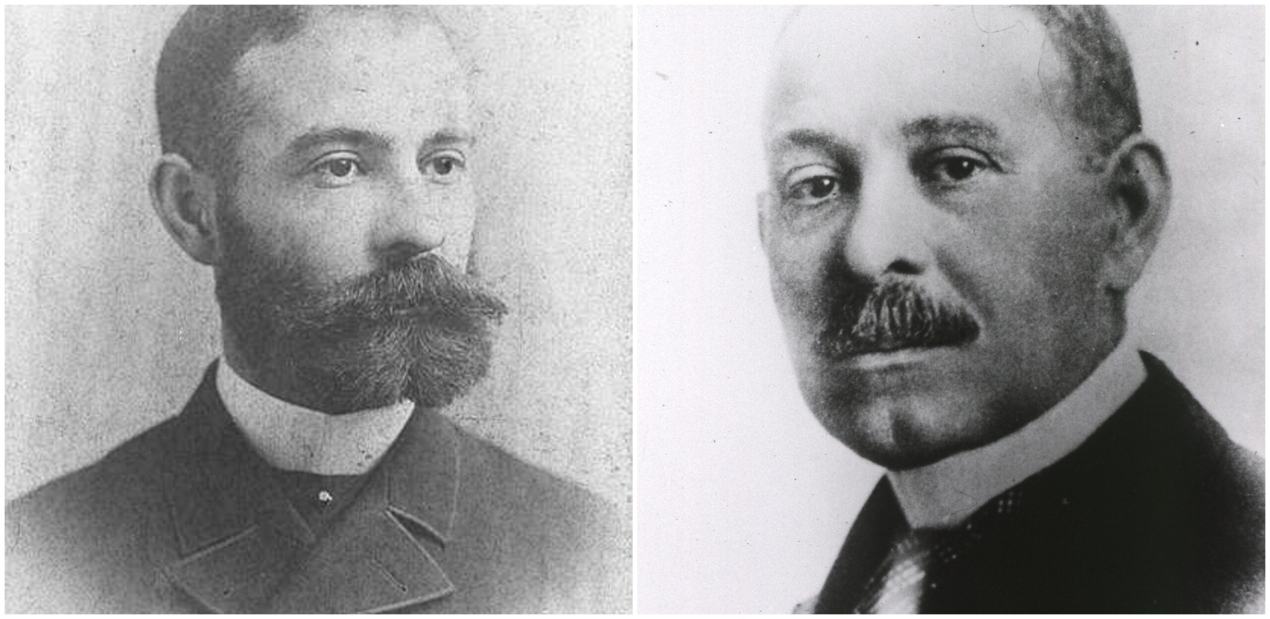 Daniel Hale Williams Succesul Primei Opera Ii Pe Inim