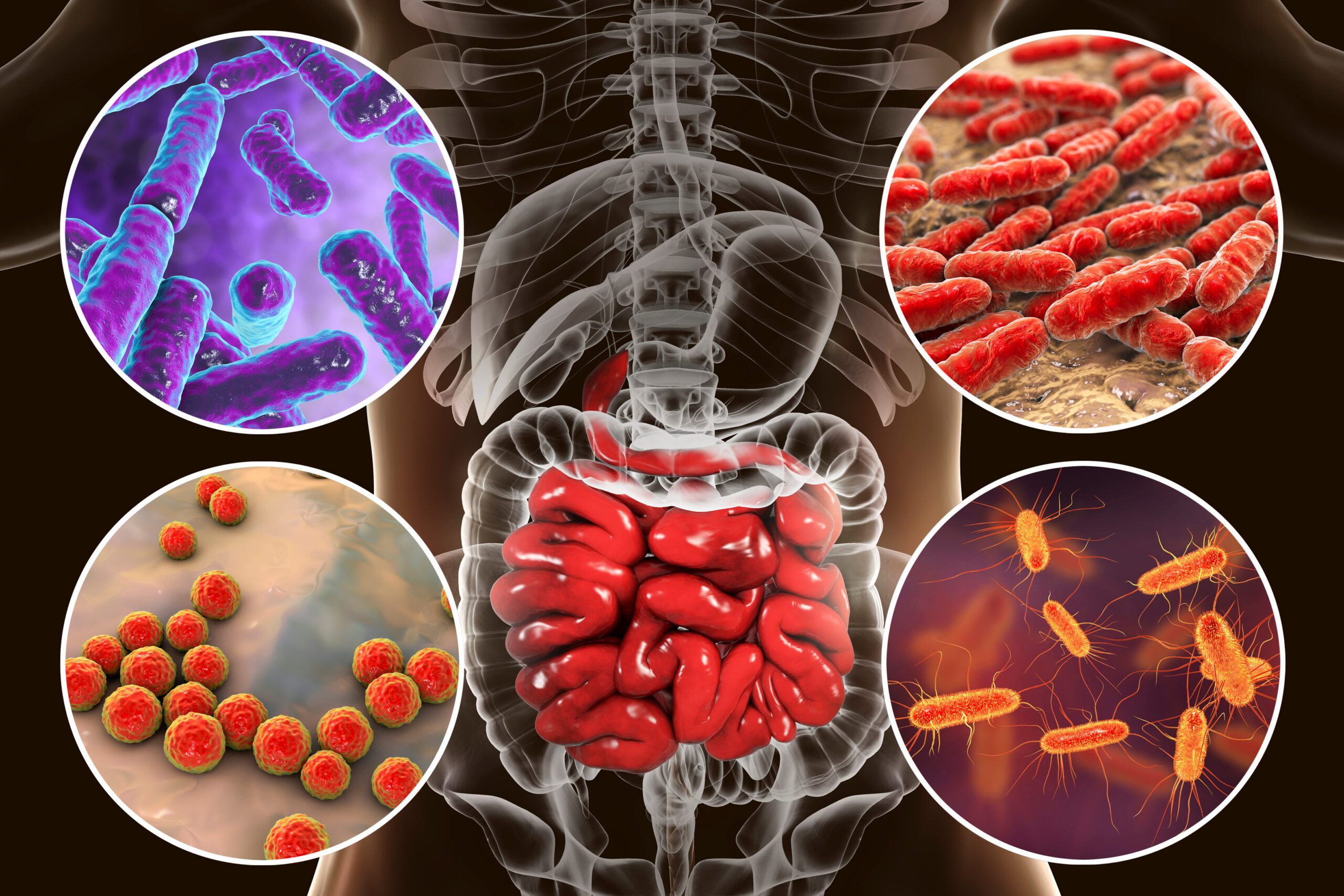 Liderii lumii au stabilit un obiectiv clar în lupta cu superbacteriile eliminarea deceselor cu 10